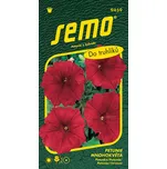 SEMO Petunie mnohokvětá červená 50 ks