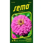 SEMO Ostálka lepá Luminosa růžová 0,7 g