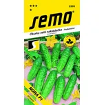 SEMO Okurka nakládačka Nora F1 hr 2 g