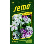 SEMO Petunie velkokvětá Pozdrav z…