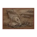 Delphin Retro Boilie Kapři