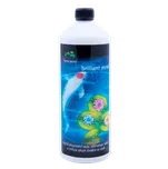 Home pond Briliant Pond