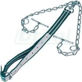 Chov hospodářského zvířete Obojek pro skot Standard, komplet 130x4 cm s dvojitým řetězem, karabinou a kličkou