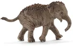 Schleich 14755 Mládě slona asijského