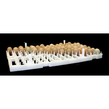 Chov hospodářského zvířete Výměnný přenosný kontejner na bažantí vejce