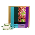 Atami B'cuzz Blossom Builder Tabzz 16…