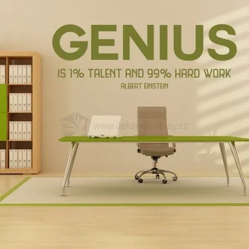 Samolepící dekorace Samolepky na zeď - Genius - dekorace-steny.cz - 40 x 110 cm - 693