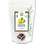 Salvia Paradise Honeybush červený BIO