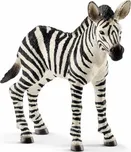 Schleich 14811 Zebra hříbě