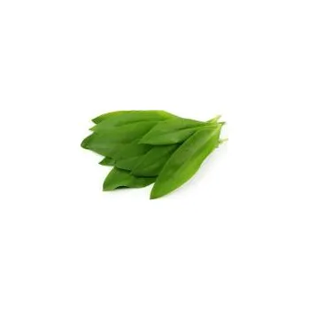 Koření AWA herbs Česnek medvědí list 100g (AWA herbs, RAZAT STYLE spol., Cejl 109, 60200)