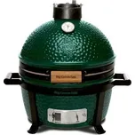 Big Green Egg Gril