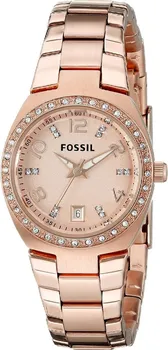 Hodinky Fossil AM4508