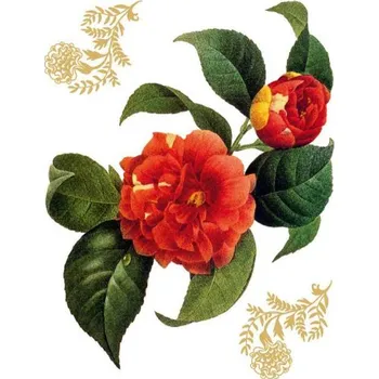 Samolepící dekorace Samolepící dekorace AG Design F0457 Red flowers, AGF00457 Kamélie (65 x 85 cm)