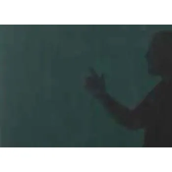 Vysavač Svařovací závěs, transparentní tmavě zelený, š 1,4 m, v 1,8 až 2,8 m Barva: transparentní tmavě zelený, šířka: 140 cm, výška: 180 cm