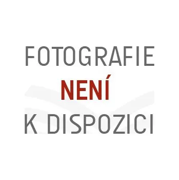 Příčník na automobil MERCEDES BENZ, Sprinter, 4-dr Van, r.v. 1995->2005 - nízká střecha