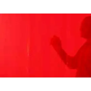 Vysavač Svařovací závěs, transparentní červený, matný, š 1,4 m, v 1,8 až 2,8 m Barva: transparentní červená, šířka: 140 cm, výška: 180 cm