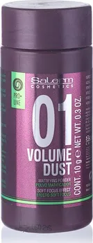 Stylingový přípravek Salerm Pro.Line 01 Volume Dust pudr pro objem 10 g