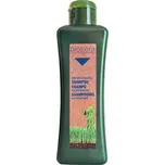 Salerm Biokera Hydratační šampon 300 ml