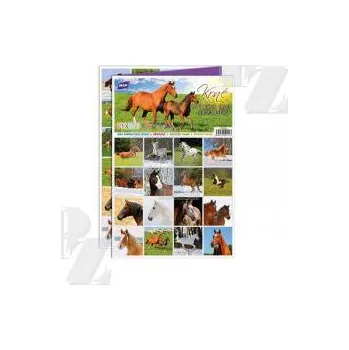 Pexeso Pexeso 3xA4 Koně, MFP paper