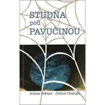 Studňa pod pavučinou -  Július Chalupa,…