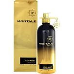 Montale Paris Aoud Night EDP 100 ml