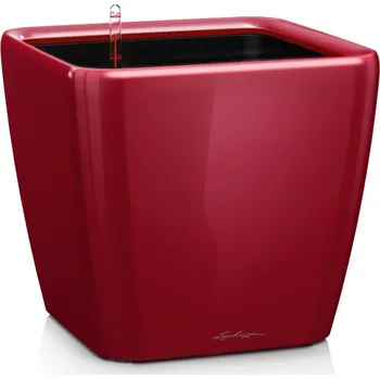 Lechuza Quadro LS 35 cm