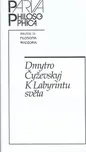 K labyrintu světa - Dmytro Čyževskyj