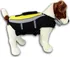 Obleček pro psa Alcott Plovací vesta neonová L žlutá