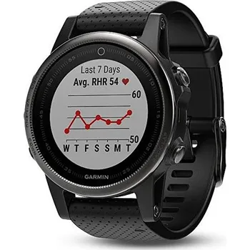 Sporttester Garmin Fenix 5S Sapphire Silver/Optic Black Band