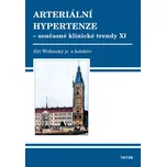 Arteriální hypertenze XI - Jiří Widimský