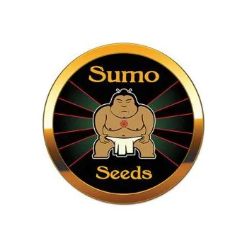 Semeno Sumo Seeds Grand Master Kush 3ks regular (Regular semena konopí Sumo Seeds s genotypem Hindu Kush X Master Skunk)