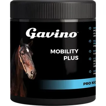 Gavino Mobility Plus 700 g