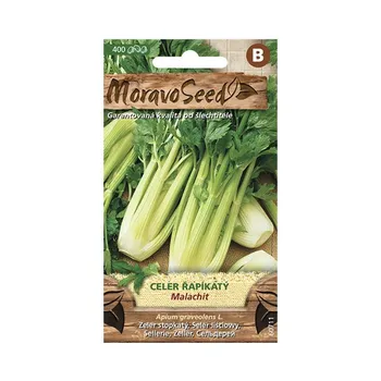 Semeno Moravoseed Celer řapíkatý Malachit 400 ks