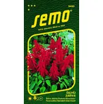 SEMO Šalvěj zářivá Karkulka červená 0,5…