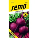 SEMO Řepa salátová Bikores kulatá 60 ks 