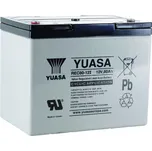Yuasa REC80-12I (12V/80Ah)
