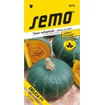 SEMO Tykev plazivá Delica F1 5 ks 