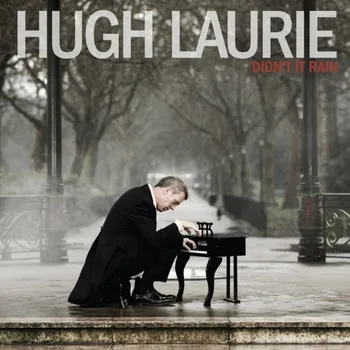 Zahraniční hudba Didn't It Rain - Hugh Laurie [2LP]