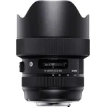 Sigma 14-24 mm f/2.8 DG HSM Art pro…