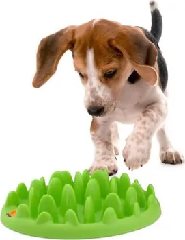 Miska pro psa Karlie Northmate Mini 29 x 22,5 x 7 cm zelená 