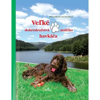 Kniha Veľké dobrodružstvá malého havkáča - Mária Ševčíková-Vrkoslavov (E-Kniha)