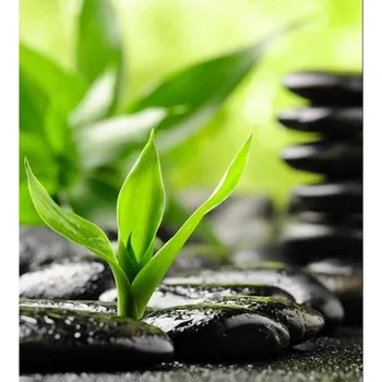 DIMEX MS-3-0187 225 x 250 cm, kameny Zen