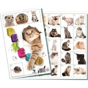 Pexeso Bonaparte Pexeso Kočky