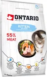 Ontario Kitten Salmon