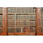 DIMEX MS-5-0263 375 x 250 cm knihovna