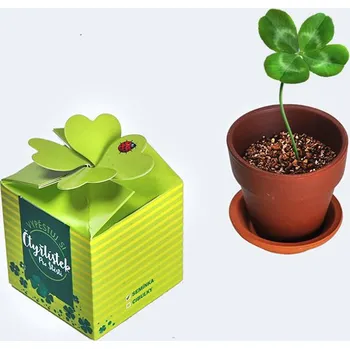 Vypěstuj si čtyřlístek - květináček keramika