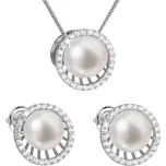 Evolution Group 29034.1