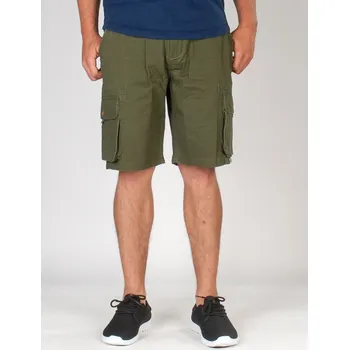 Pánské kraťasy Quiksilver The Deluxe Csno zelené