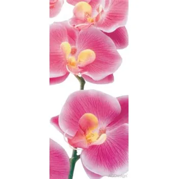 Fototapeta Fototapeta vliesová růžové orchideje 90x202cm FTN V 2826