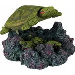 Trixie želva se vzduchovacím zařízením…